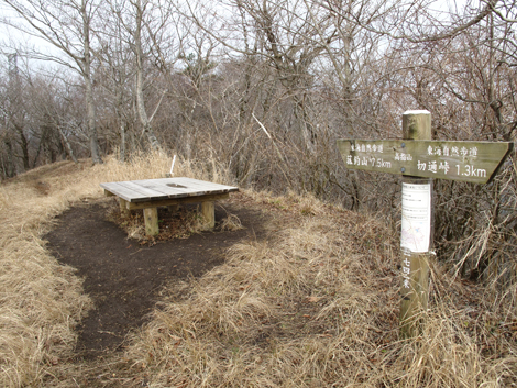 20181205hike (263)